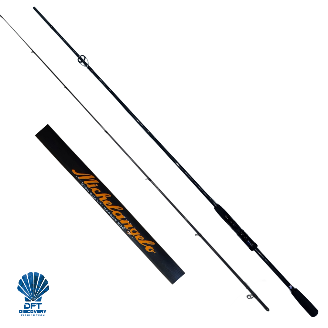 DFT Michelangelo 274 cm Olta Kamışı 10-35 g