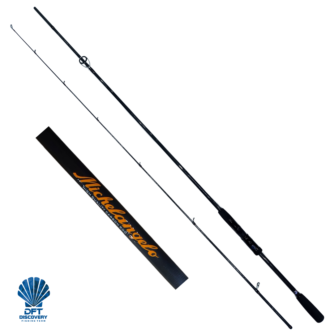 DFT Michelangelo 243 cm Olta Kamışı 10-20 g