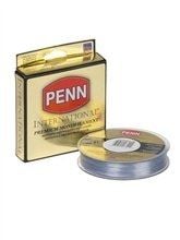 Penn Misina