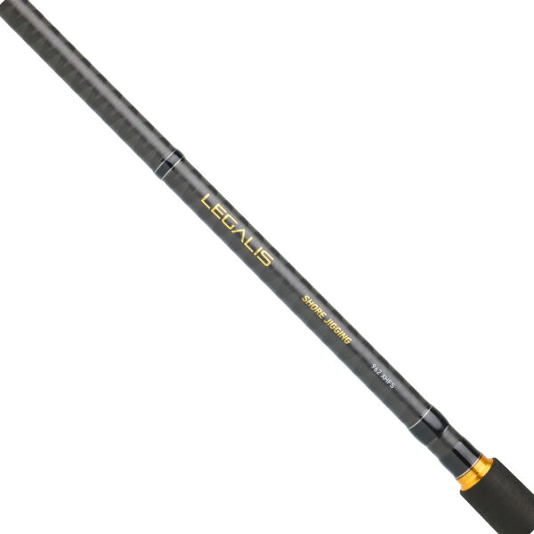 DAIWA LEGALIS SJ CF 2.90M 28-84GR 2P SHORE JIG KAMIŞ