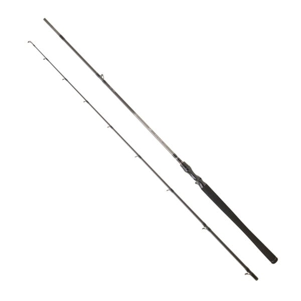DAIWA EXCELER CASTING 2.24M, 28-84GR, 2P KAMIŞ