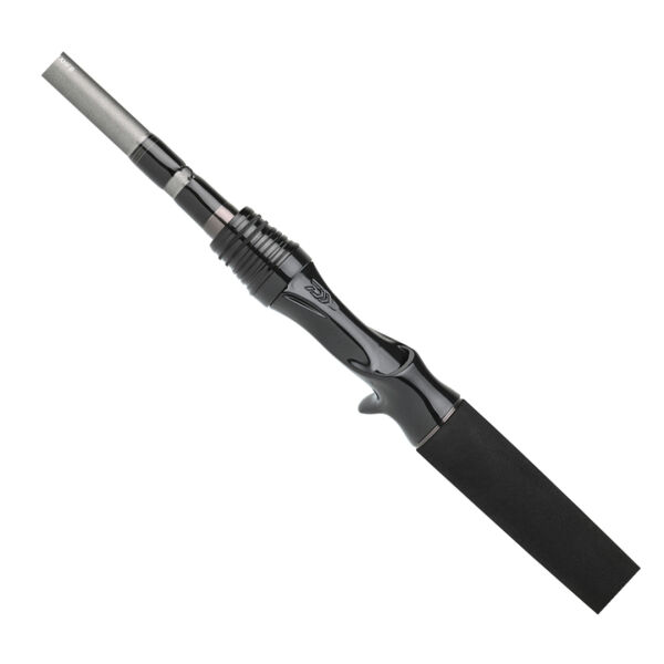 DAIWA EXCELER CASTING 2.24M, 28-84GR, 2P KAMIŞ