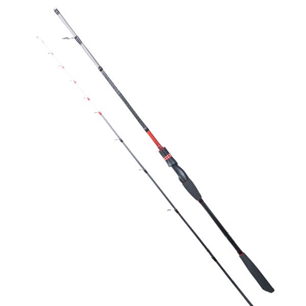 RYUJI SPECTRA SP 1.98M 70-300GR 2P BOT KAMIŞI
