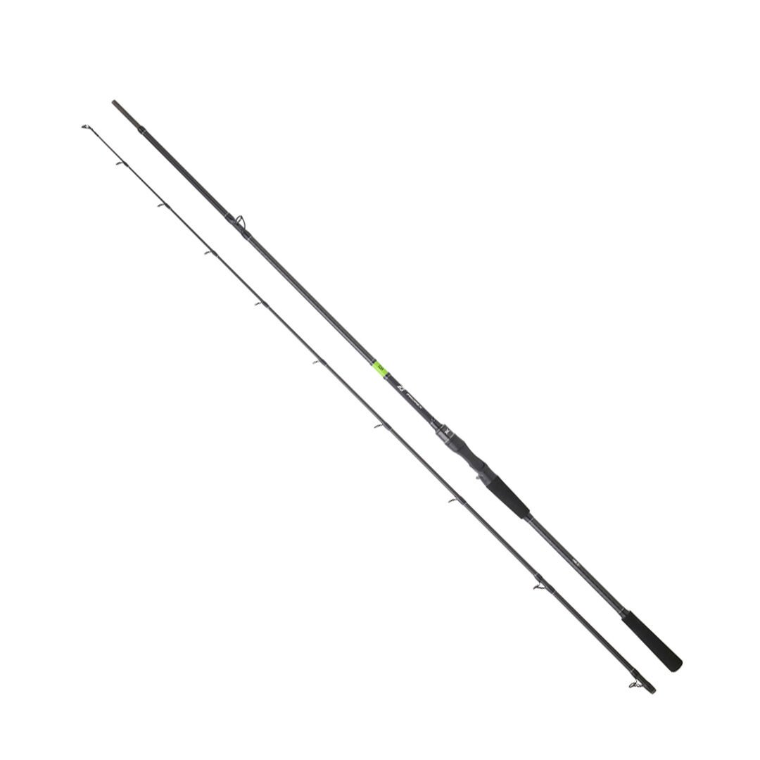 DAIWA PROREX E CASTING 1.98M, 60-120GR, 2P KAMIŞ