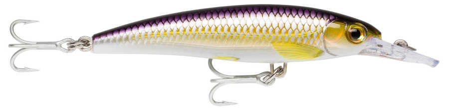 Rapala X-Rap 3x Minnow Sahte Balığı PBH - 100MM