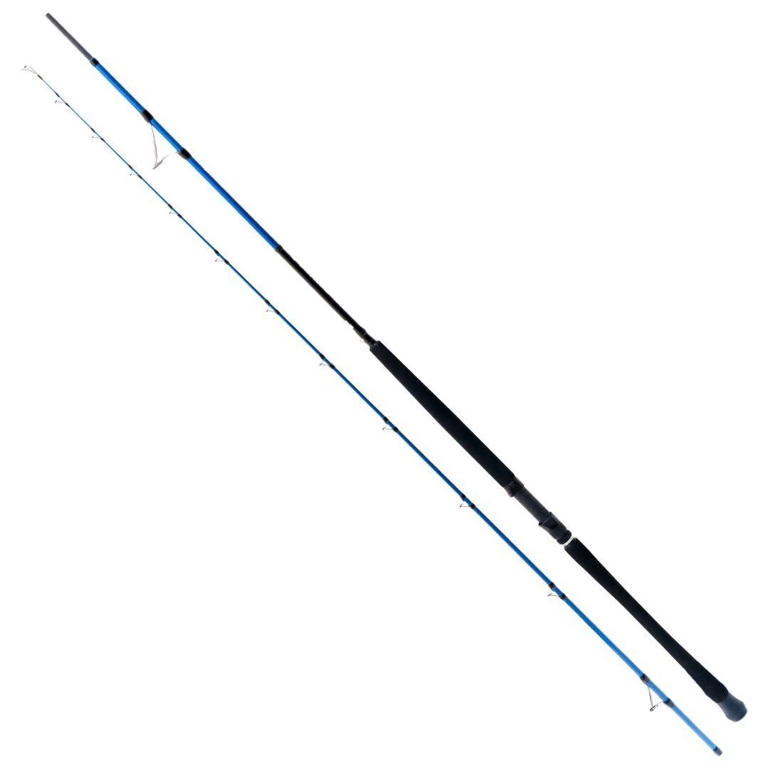 Ryuji Shore Game 295 cm 30-100g Atarlı Karbon Shore Jig Kamışı Fuji Halkalı