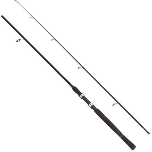 Fladen Charter Spin Kamış 2p 270 (25-60G)
