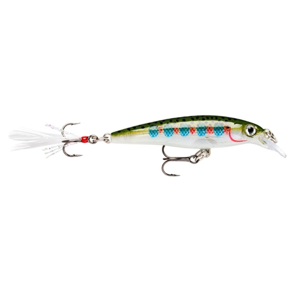 Rapala Freshwater X-Rap Sert Balık RT - 100MM