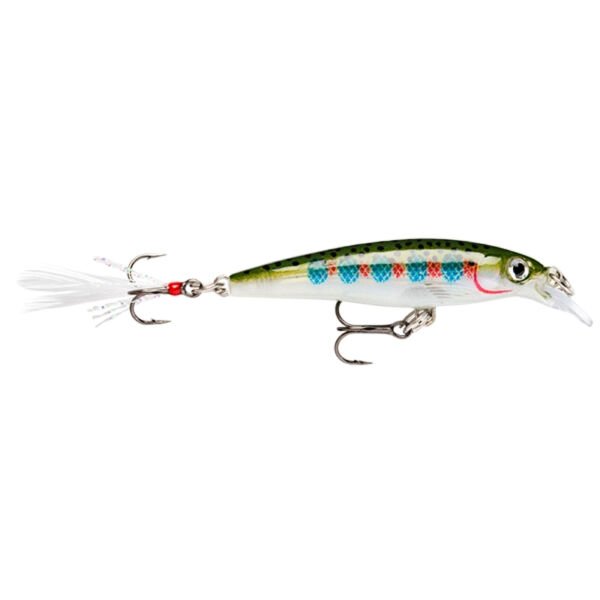Rapala Freshwater X-Rap Sert Balık RT - 100MM