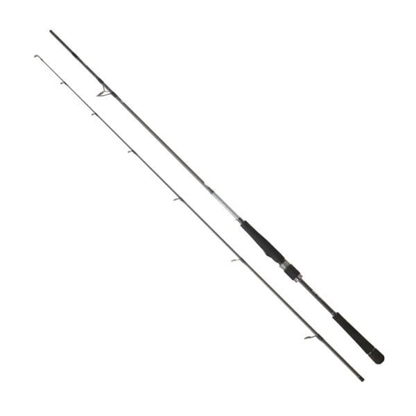 DAIWA SALTIST SEABASS BF 2.90M , 14-56GR 2P KAMIŞ