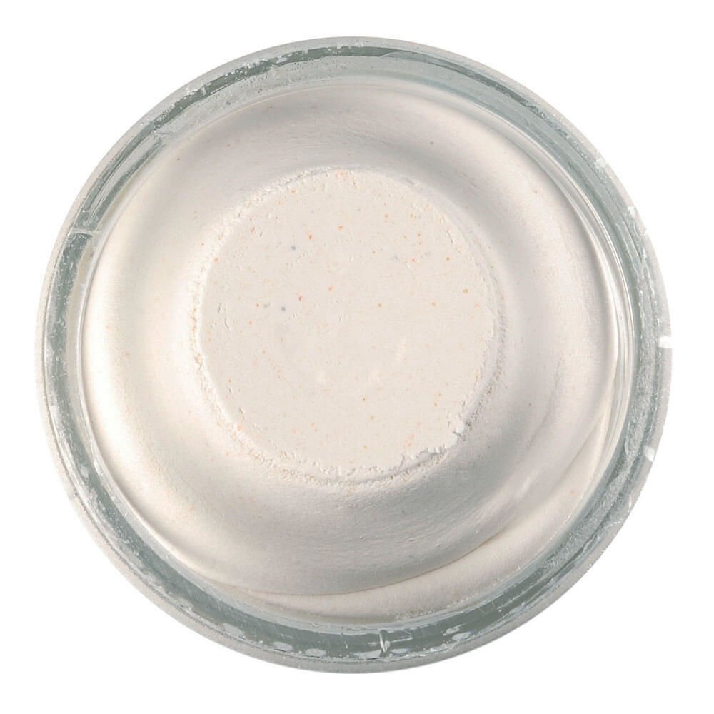 Berkley PowerBait Trout Bait Sahte Yemi MARSH WHITE