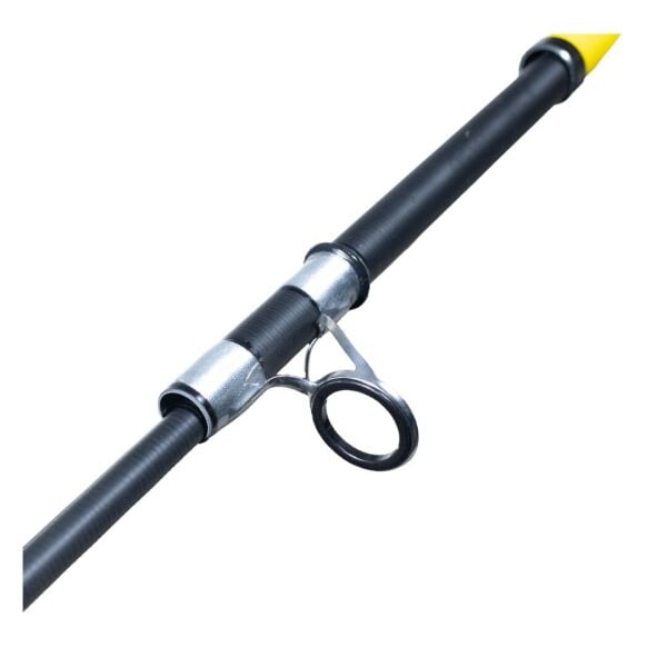 Remixon Arma 420cm 250gr Atarlı Surf Kamış
