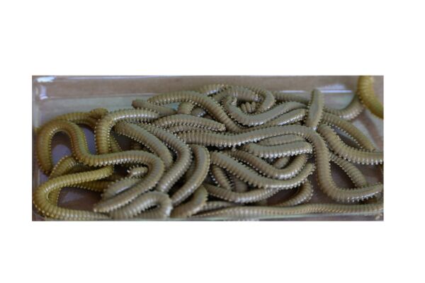 Fladen Vermz Kum Solucan, 8.5 cm 20P 02