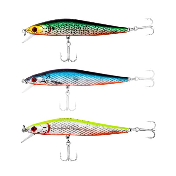 Japanese Vision Maket Balık