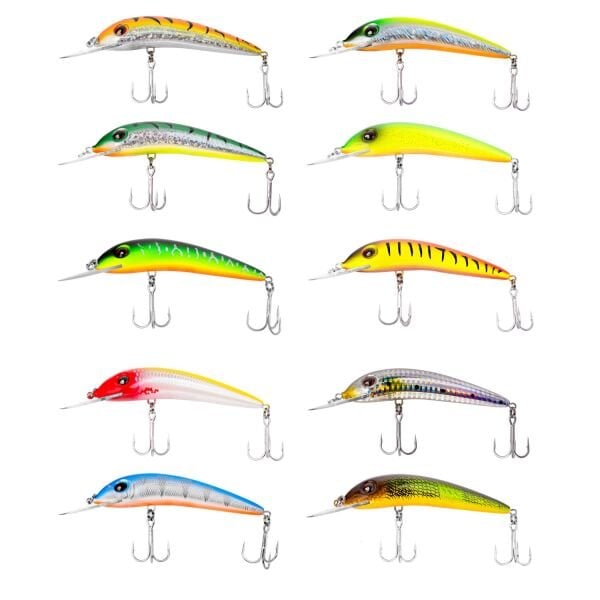 Japanese Iruka Maket Balık