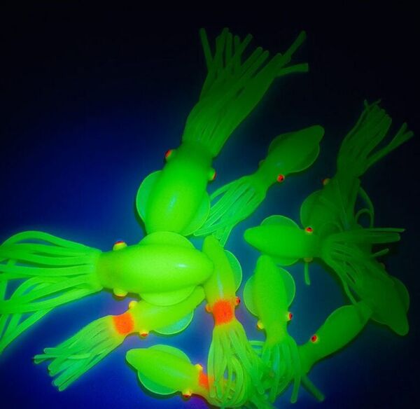 Solid squid 7cm 6pack Yeşil