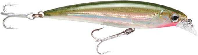 Rapala X-Rap Saltwater Sahte Balığı OG - 120MM