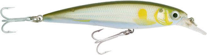 Rapala X-Rap Saltwater Sahte Balığı AYU - 120MM