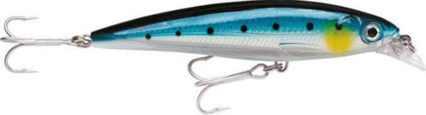 Rapala X-Rap Saltwater Sahte Balığı BSRD - 100MM