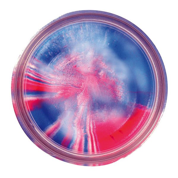 Berkley Powerbait Extra Scent Glitter Sahte Yemi CAPTAIN AMERICA - 50 GR