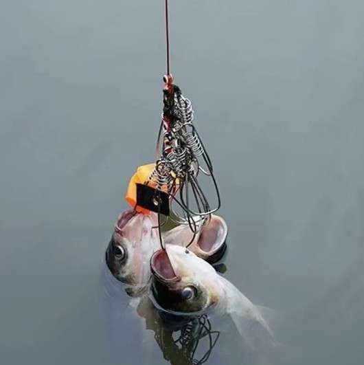 Captain 7688 Balık Kıtkası 25mt 5 Karabinalı Kıtka Seti