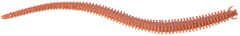 Berkley Gulp Alive Nereis Sahte Kurt NATURAL - 15CM - 14LÜ