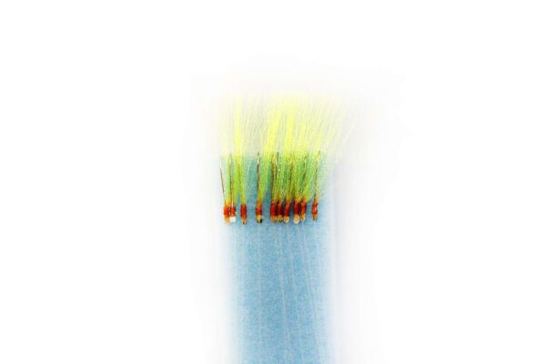 İstavrit Çaparisi 10 İğneli Köpük Çapari 025mm Beden x 015mm Köstek