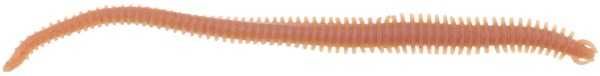 Berkley Gulp Alive Nereis Sahte Kurt NATURAL - 15CM - 14LÜ