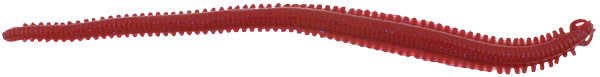 Berkley Gulp Alive Nereis Sahte Kurt BLOODY - 15CM - 14LÜ