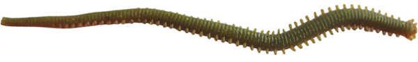 Berkley Gulp Alive Nereis Sahte Kurt CAMO - 15CM - 14LÜ