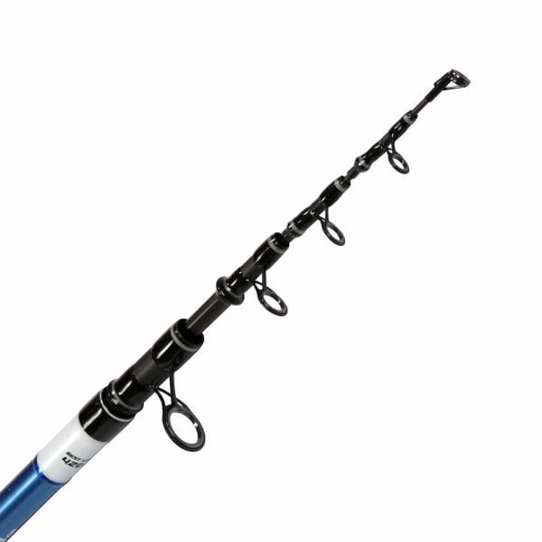 Albastar Trachurus 3558 420 cm 100-250g Atarlı Surf Kamış