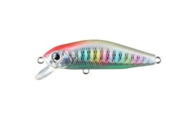 Usami Minn Shad 58F-SR 4.6 G Maket Balık 004