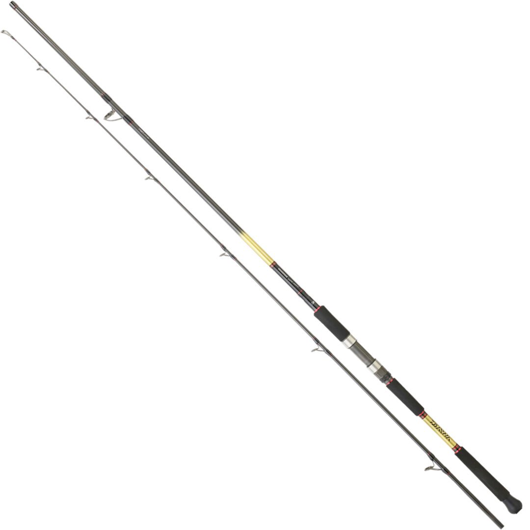 Daiwa Grandwave SJ 2.90m 28-84gr 2P Shore Jig Kamış