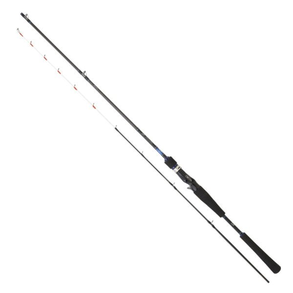 Daiwa Emeraldas Boat 1.98m 40-100gr 2P Kamış